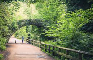 Jesmond Dene