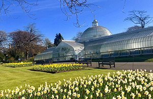 Kibble Palace and Glasgow Botanic Gardens